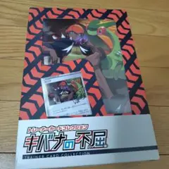 ポケモンカードゲーム トレーナーカードコレクション キバナの不屈 未開封
