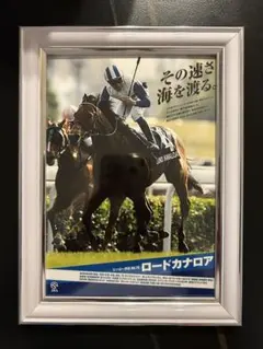 Item thumbnail for item 99af4788-ba1d-4ebb-b741-54c34f601ec2