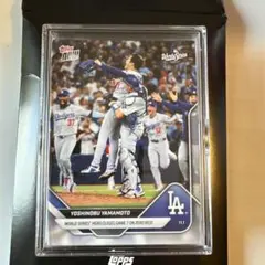 Item thumbnail for item afd5028a-857d-4797-8b36-d1e67a441daf