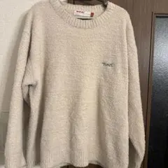 TGN 韓国　ボアトレーナー