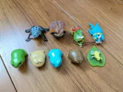 か*ん様 カエル　ガチャガチャ　まとめうり