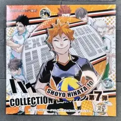 ハイキュー!! 日向翔陽 缶バッジ 第7弾