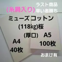 Item thumbnail for item 88e53ca2-b6a6-4bd5-ad31-08b66c9ae4f8