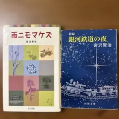 Item thumbnail for item 8252657f-c74b-4957-b550-49cb81225a6e