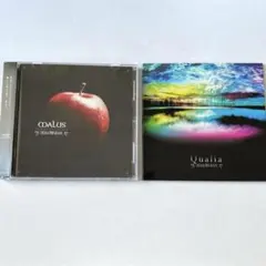 HOLLOWGRAM MALUS Qualia (会場限定盤) 2枚セット V系
