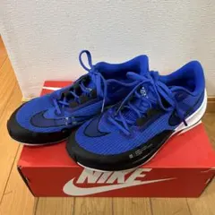 Nike Air Zoom RIVAL FLY3