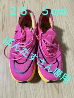 ぽんたす専用 ズームX ストリーク フライ