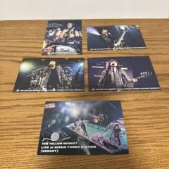 the yellow monkey タンブラー ポストカード the yellow monkey タンブラー ポストカード the yellow monkey