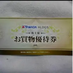 ヤマダ電機 お買物優待券 株主優待券 10枚