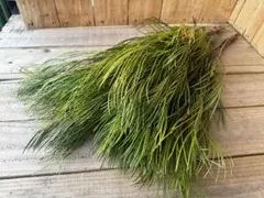 Rie様 リクエスト 5点 まとめ商品