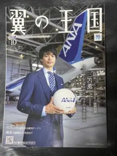 三苫薫 ANA 限定 クリアファイル A4サイズ - メルカリ