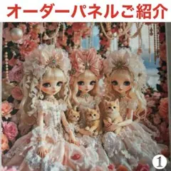 ハンドメイドオーダー受付ページ＊限定レアパネル…909残り2枚/907