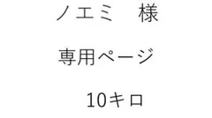 ノエミ様　専用ページ