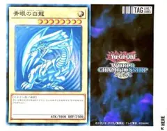 遊戯王 Yu-Gi-Oh! WORLD CHAMIPIONSHIP 青眼の白龍