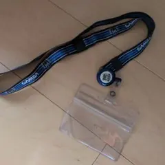 Item thumbnail for item 6f894a78-df0c-49a1-9993-e0f79a15ec90