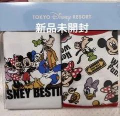 【新品未開封】ディズニー　スタイ2枚セット