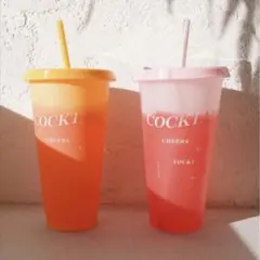 アリシアスタン タンブラー　ノベルティ　ビキニ　ボトル　シールームリン