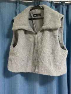 Zara ジャケット ファー