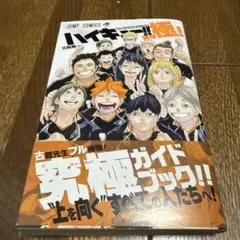 ハイキュー!! ファイナルガイドブック 排球極! 初版