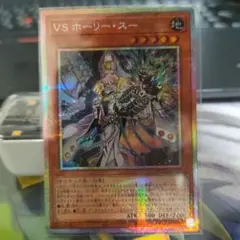VS ホーリー・スー