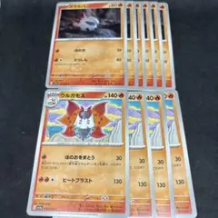 ポケカ メラルバ6枚 ウルガモス5枚 進化ライン とっしん ほのおをまとうのサムネイル