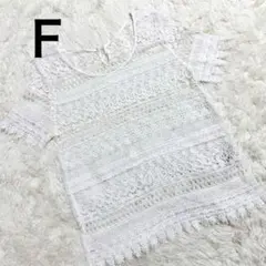 ❣️美品❣️半袖 レース柄 トップス/透け感/フリーサイズ