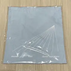 Snow Man Dome Tour 2024 RAYSトートバッグ