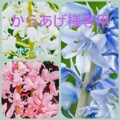 からあげ様 リクエスト 2点 まとめ商品