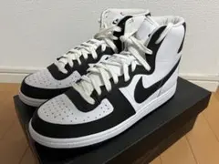 コムデギャルソンオムプリュス×NIKE ターミネーターのサムネイル
