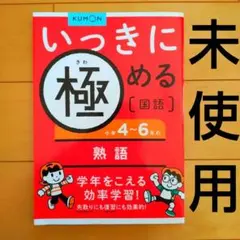 ご購入下さい。12/23〜1/2発送不可様 リクエスト 6点 まとめ商品