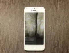 iPhone 5s Silver  ジャンク品　使用不可