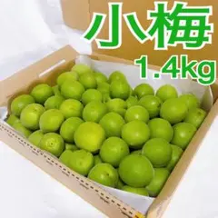 小梅 1.4kg 青梅　熊本産のサムネイル