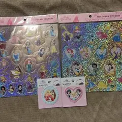 ディズニー プリンセス シール ワッペン