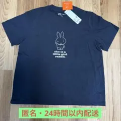 Item thumbnail for item d04002b8-2505-4f60-b7d6-523e3a560ad6