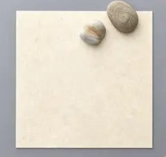 Item thumbnail for item 711acbb2-268c-4433-878f-2eb4e36b9297