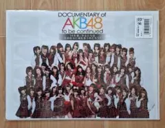 映画 DOCUMENTARY of AKB48 チームA クリアファイル - メルカリ