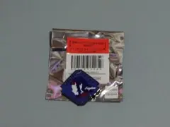 鬼滅の刃 キャラクターモチーフ ピンズ 哀絶 伍周年記念祭 後夜祭 カフェ