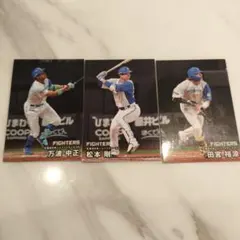 日本ハムファイターズ 2025