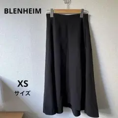 BLENHEIM トリアセテート混 タックフレアスカート ブラック XSのサムネイル