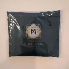 ディズニーリゾート　ミラコスタ　エコバッグ　アメニティ