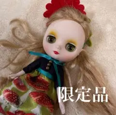 ミディブライス ネコグツずきん あちゃちゅむコラボ - メルカリ