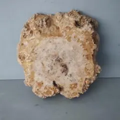 瘤杢一枚板② 花台 置台 花瓶台 盆栽台 飾り台 アンティーク 侘び寂び