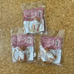 わんこのタイムカプセル 3個セット まめ 柴犬 キーホルダー ガチャ
