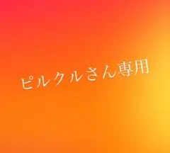 ❗️ピルクルさん専用❗️