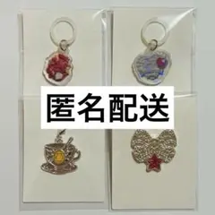 seria セボンスター　メタルチャーム　メタルピンバッジ　めじるしチャーム