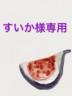 すいか様専用 イチジク穂木