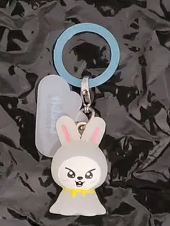 stray kids スキズ　skzoo めじるしアクセサリー　リービット
