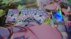 fgoac fgoアーケード 清少納言 絆礼装 フェイタル 3枚セット +おまけ