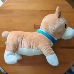 コーギー ぬいぐるみ 青い首輪
