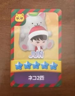 セブチ パズチ トレカ ジュン